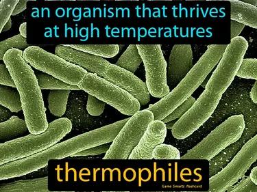 Thermophiles Meaning