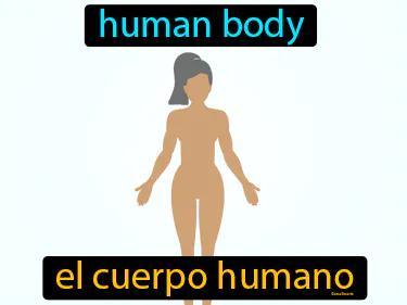 El Cuerpo Humano Meaning