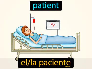 El Paciente Meaning