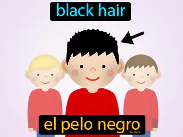 El Pelo Negro Meaning