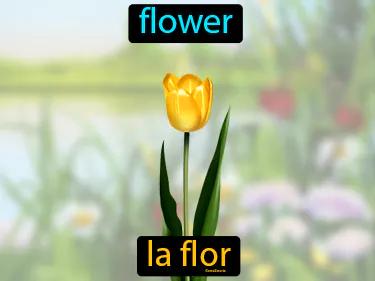 La Flor Meaning