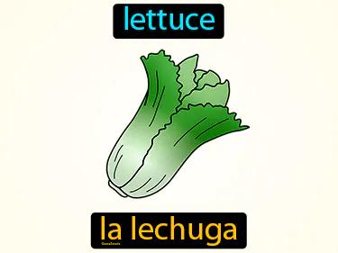 La Lechuga Meaning