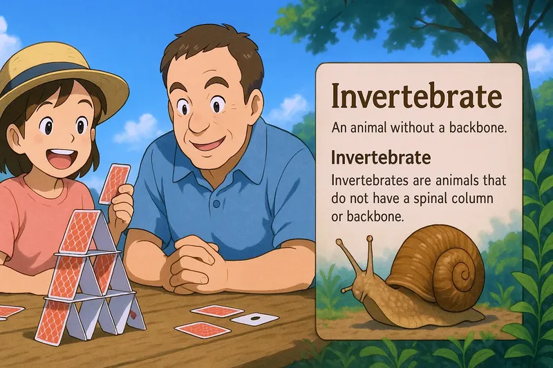 Invertebrate Meaning Invertebrate Meaning