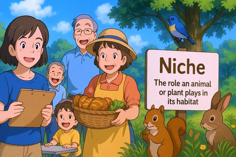 Niche Meaning