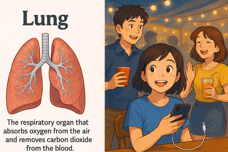 Lung Meaning