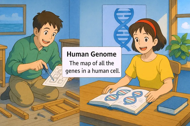 Human Genome Meaning Human Genome Meaning