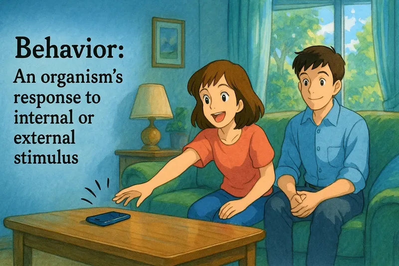 Behavior Meaning