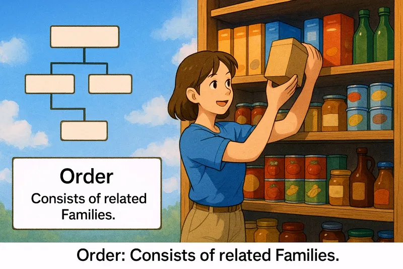 Order Meaning Order Meaning