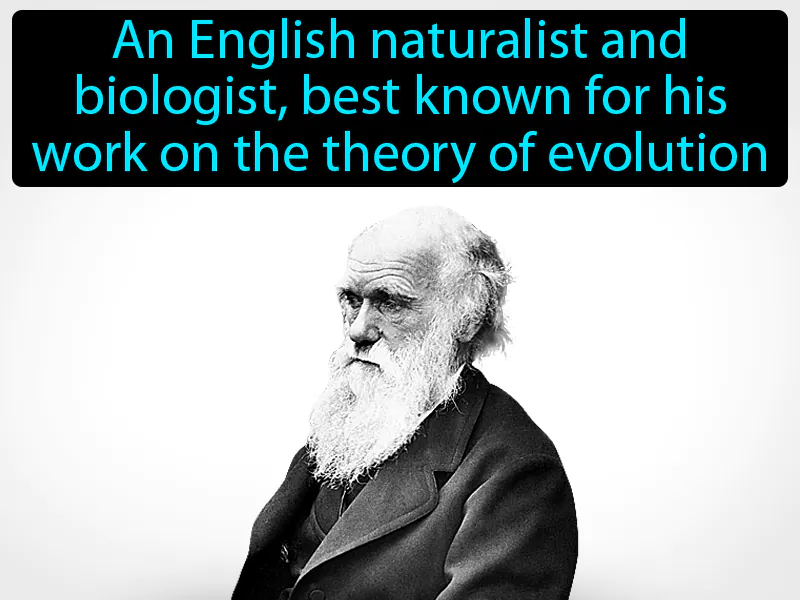 Charles Darwin Definition Charles Darwin Definition