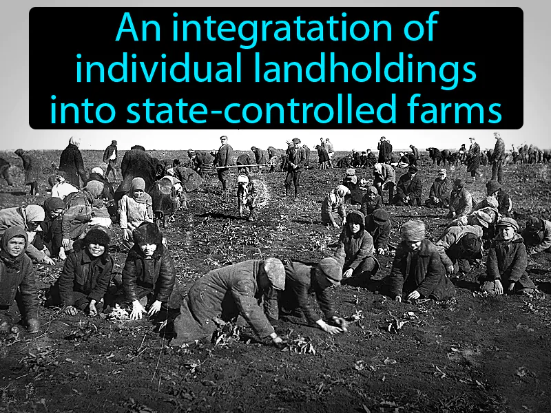 Collectivization Definition Collectivization Definition