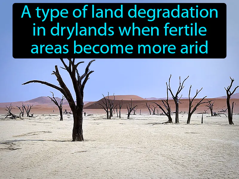 Desertification Definition Desertification Definition