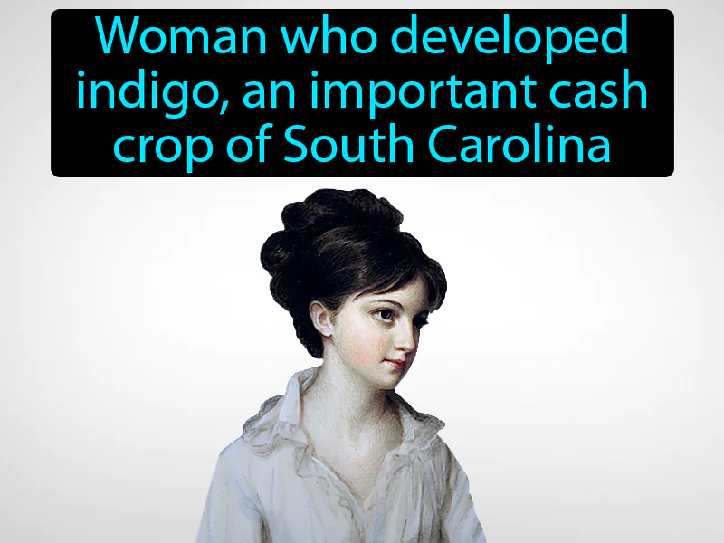 Eliza Lucas Pinckney Definition