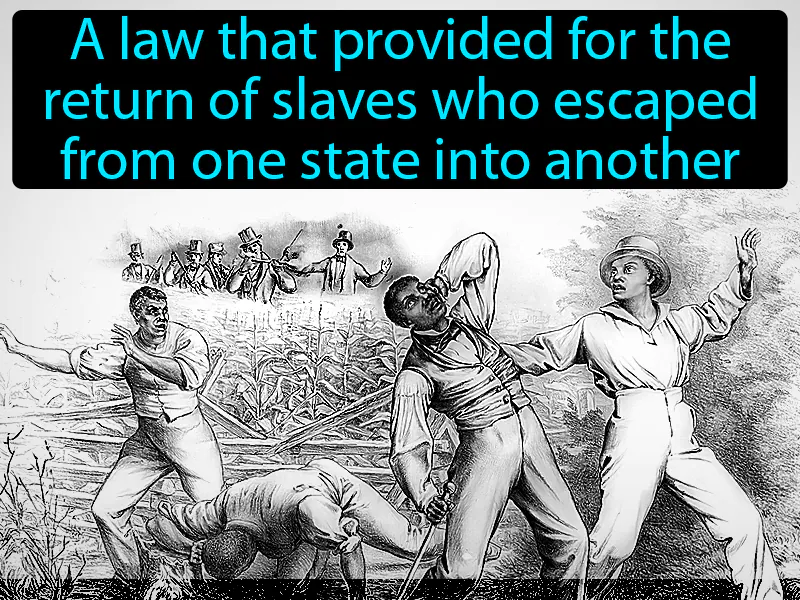 Fugitive Slave Law Definition Fugitive Slave Law Definition