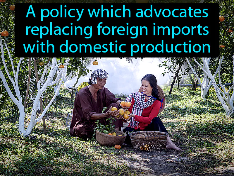 Import Substitution Definition Import Substitution Definition