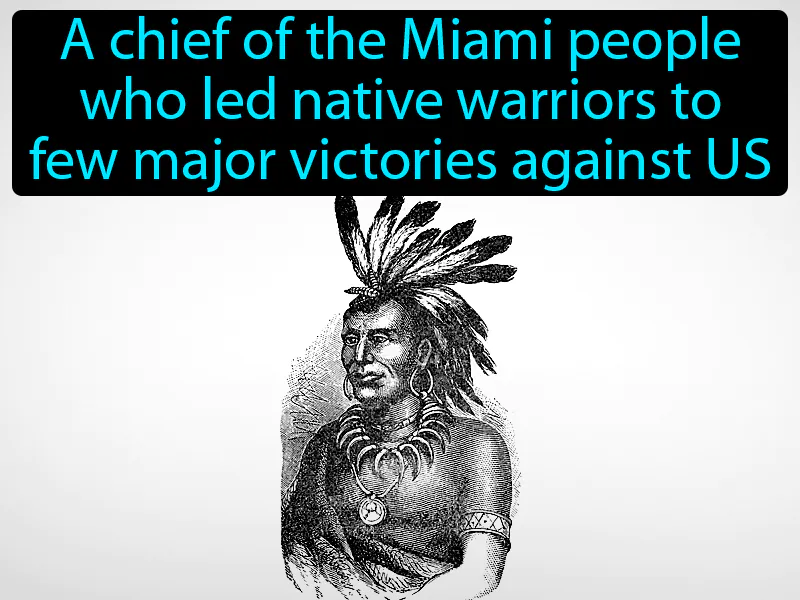 Little Turtle Definition Little Turtle Definition