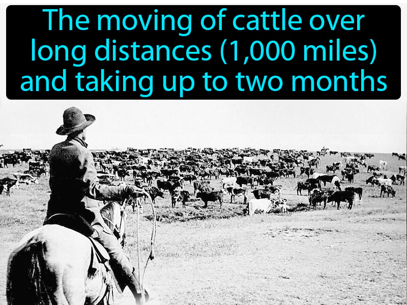 Long Drive Definition