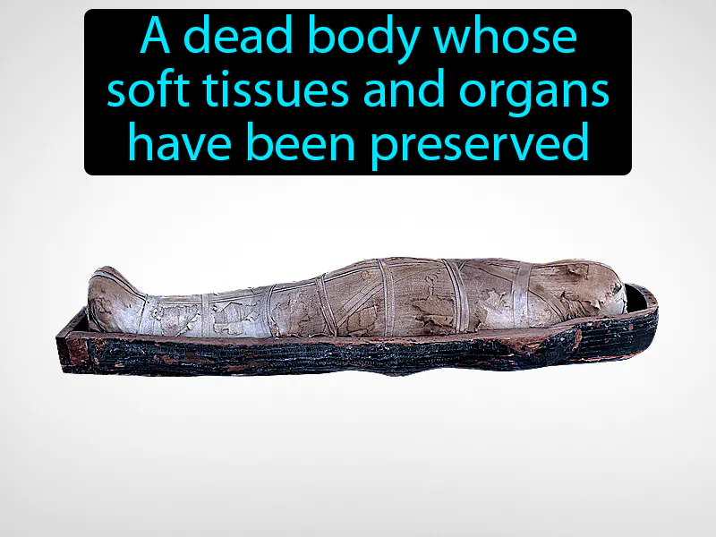 Mummy Definition