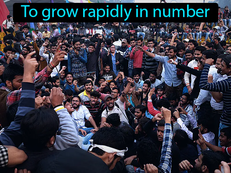 Proliferate Definition