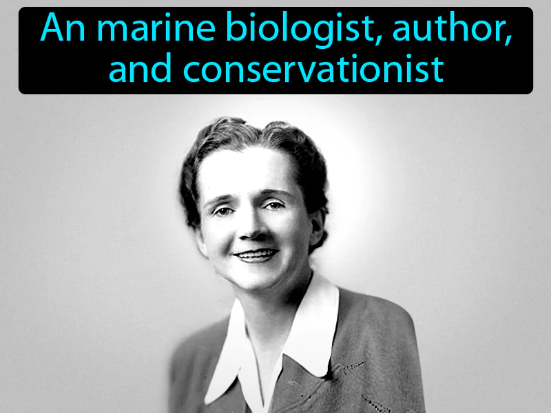 Rachel Carson Definition