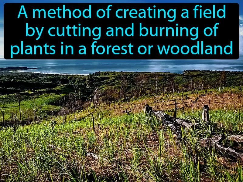 Slash And Burn Definition Slash And Burn Definition