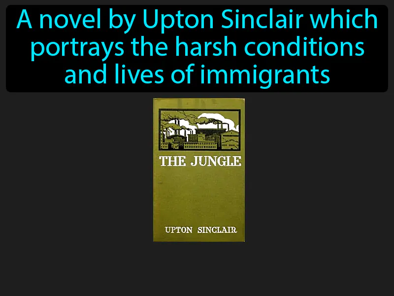 The Jungle Definition The Jungle Definition