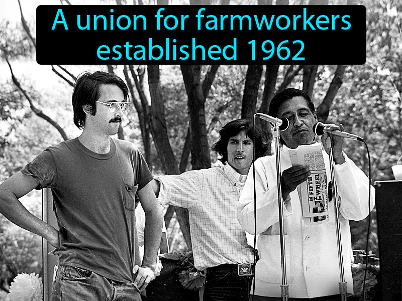 United Farm Workers Definition