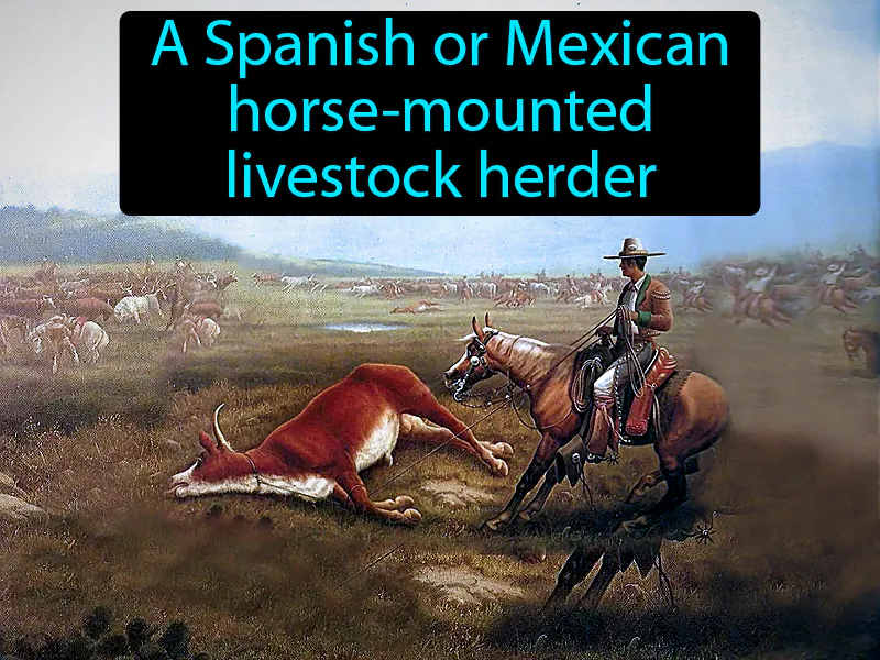 Vaqueros Definition