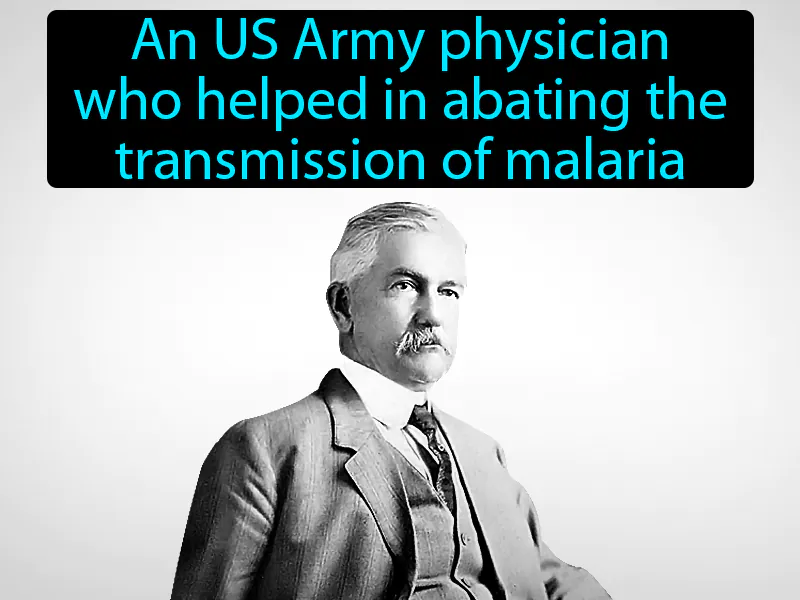 William Gorgas Definition