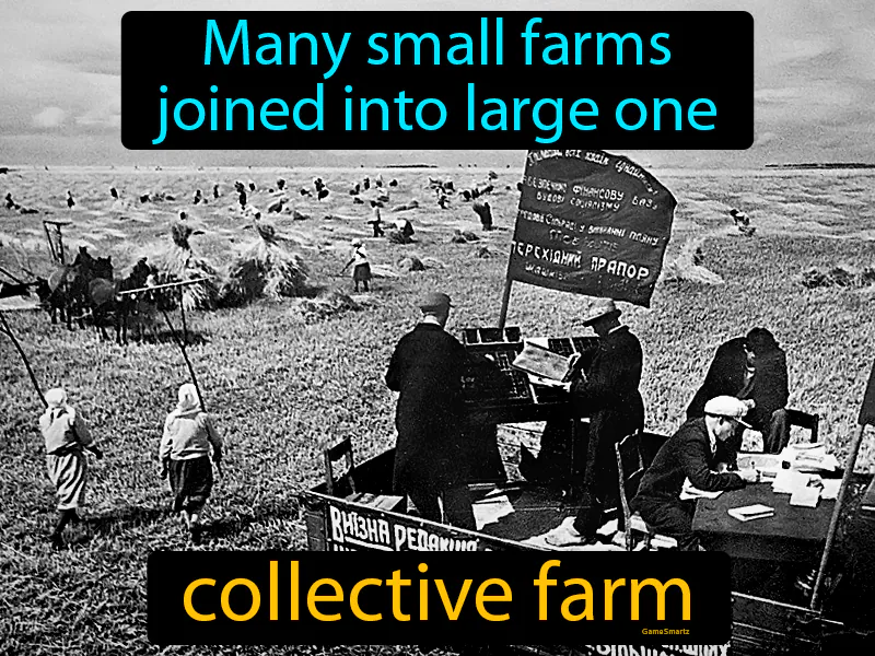 Collective Farm Definition Collective Farm Definition