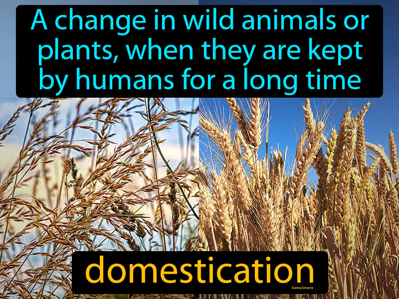 Domestication Definition Domestication Definition