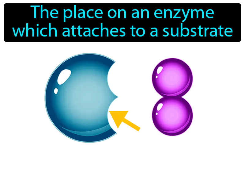 Active Site Definition