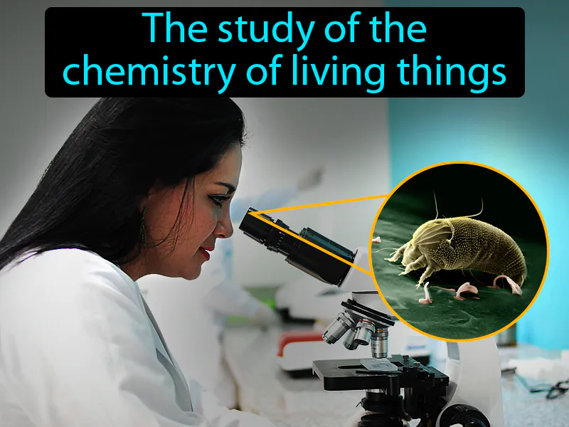 Biochemistry Definition Biochemistry Definition