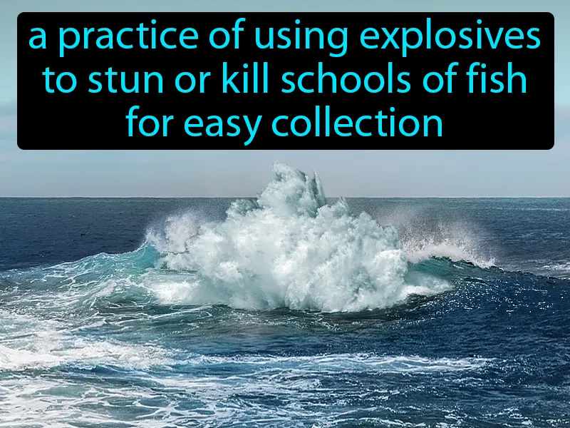 Blast Fishing Definition Blast Fishing Definition