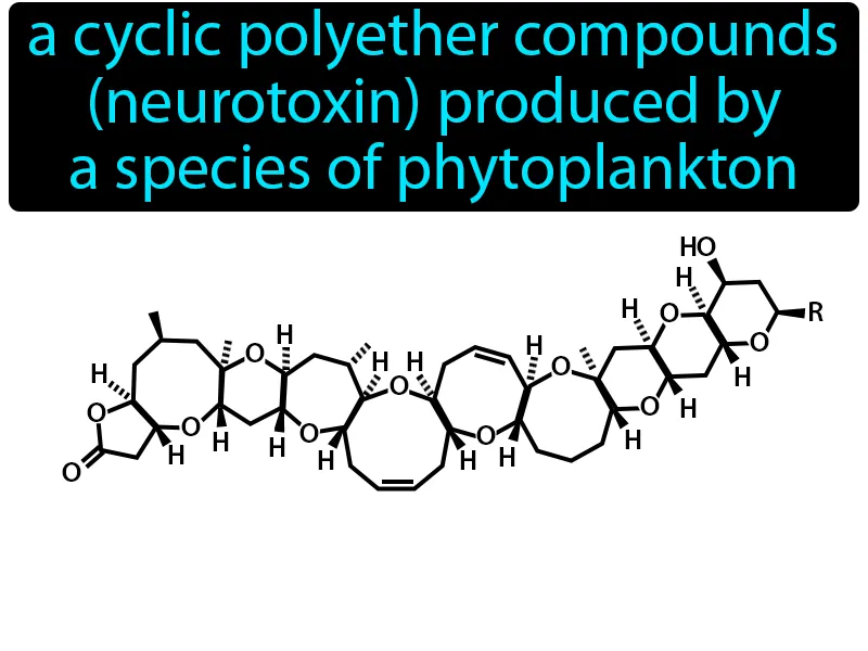 Brevetoxin Definition Brevetoxin Definition