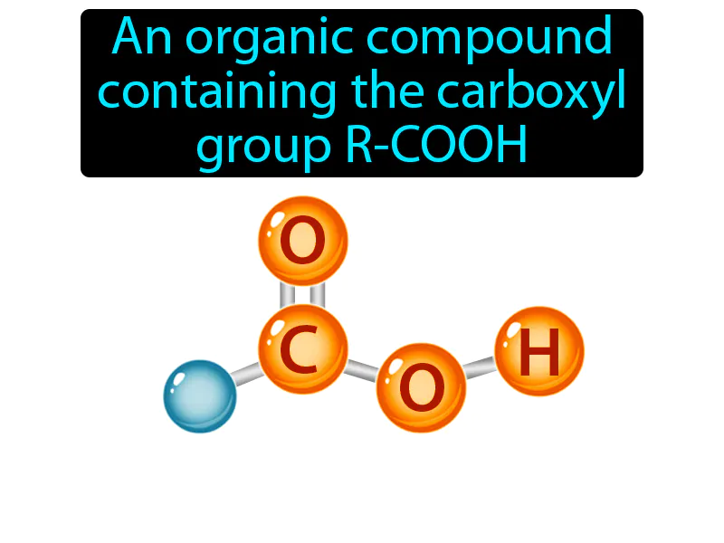 Carboxylic Acid Definition Carboxylic Acid Definition