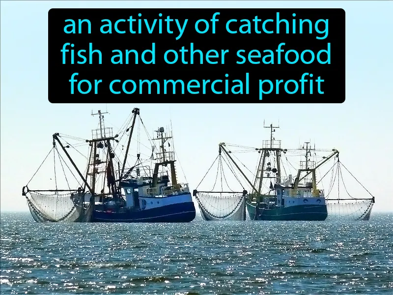 Commercial Fishery Definition Commercial Fishery Definition