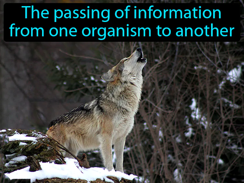 Communication Definition Communication Definition