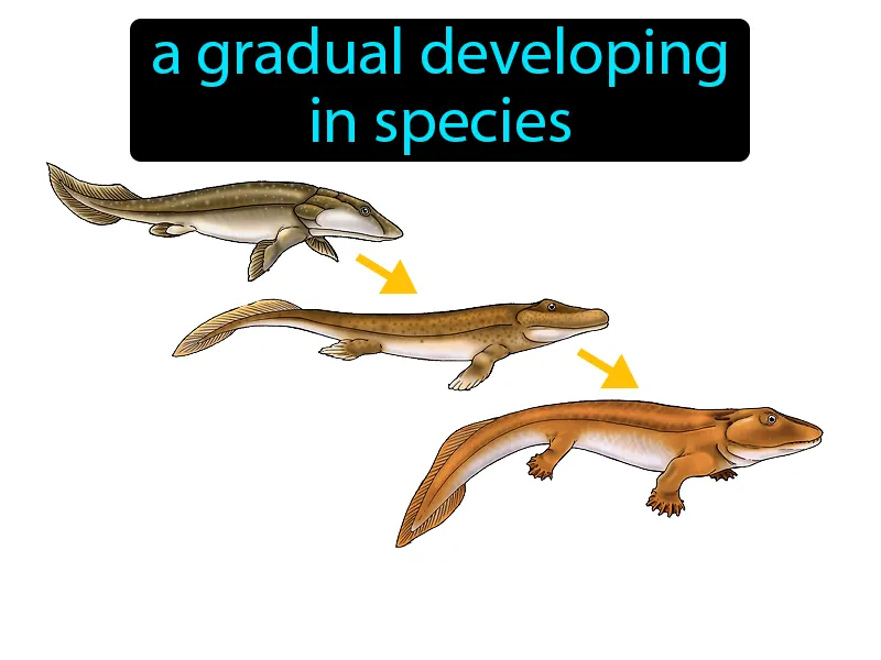 Evolve Definition Evolve Definition