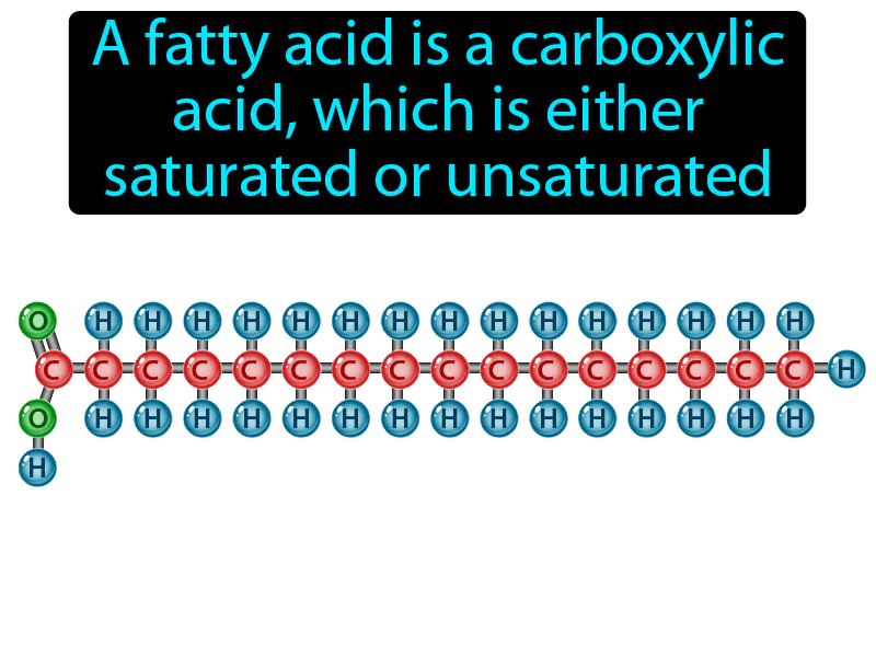 Fatty Acid Definition Fatty Acid Definition