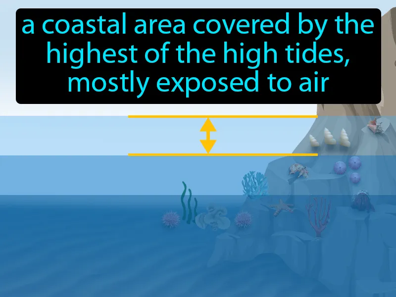 High-intertidal Zone Definition