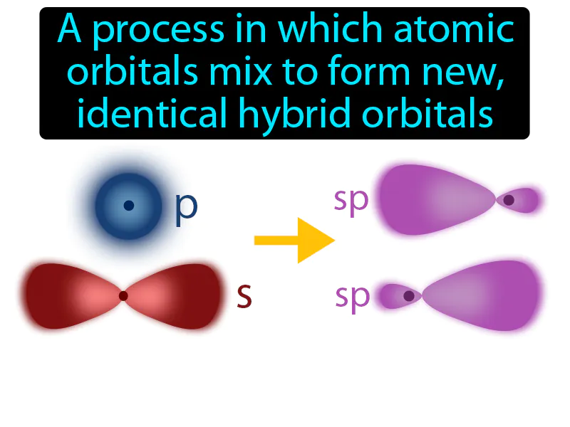 Hybridization Definition
