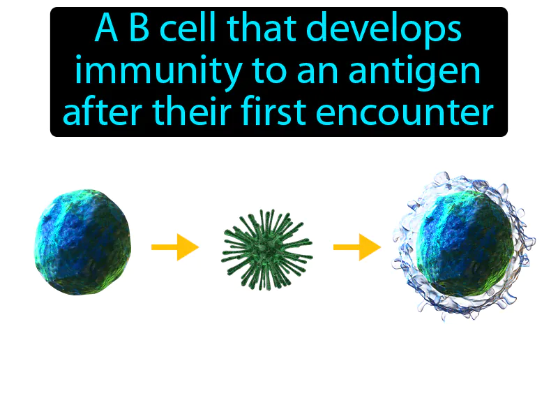 Memory Cell Definition