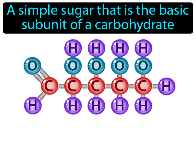Monosaccharide Definition Monosaccharide Definition