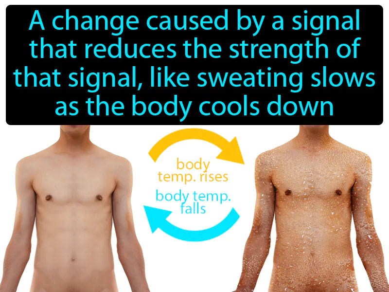 Negative Feedback Definition