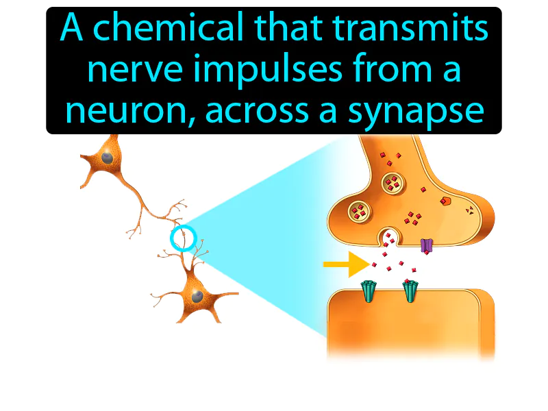 Neurotransmitter Definition Neurotransmitter Definition