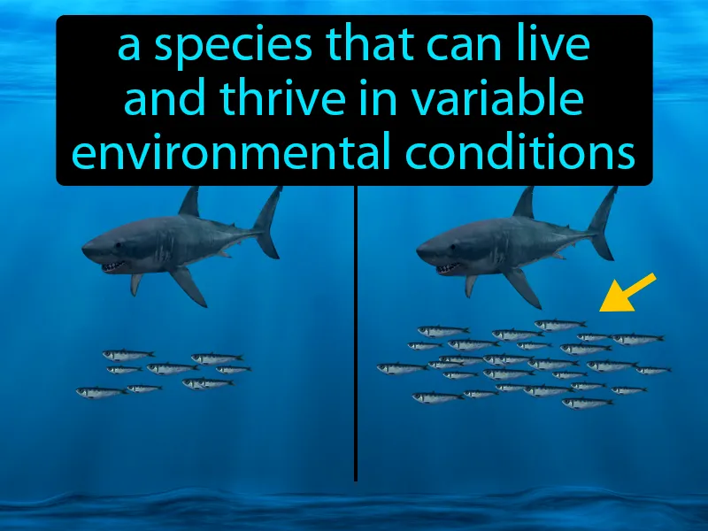 Opportunists Definition