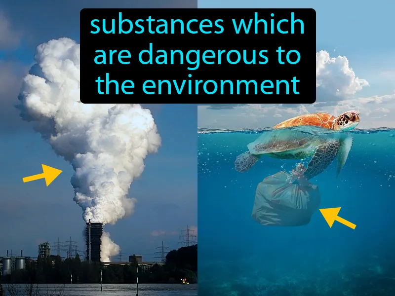 Pollutant Definition