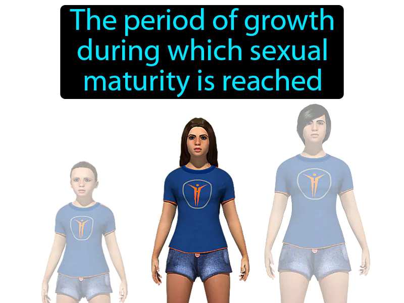 Puberty Definition