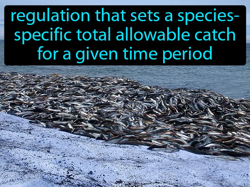 Quota Definition Quota Definition