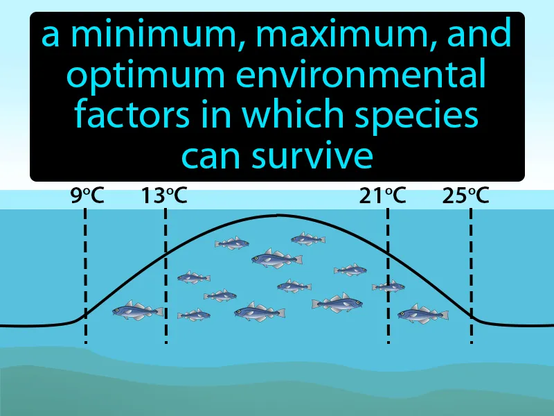 Range Of Tolerance Definition Range Of Tolerance Definition
